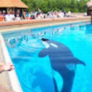 Meet your Posher, Kailey